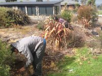 Tidying Bindi's garden